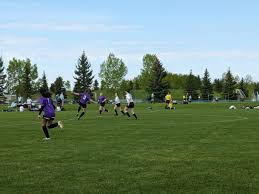 Image result for Phoenix Youth Sc