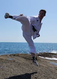 Image result for Bytomic Tae Kwon Do Watford