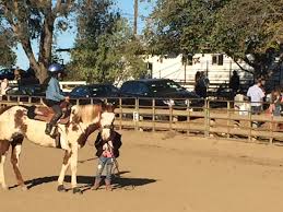 Image result for The Riding Centre