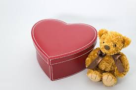 Image result for テディ