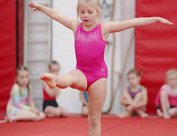 Image result for Wiltshire School Of Gym