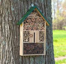 Image result for ladybug house