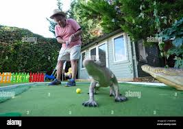 Image result for Leatherhead Swans Club