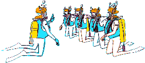 Image result for Prima Sub-Aqua