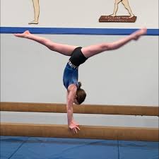 Image result for Sports Acro