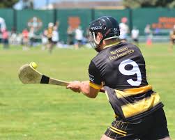 Image result for Sean Treacy`s Hurling Club