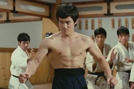 Image result for Hidden Dragon Karate-Do