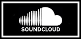 Noise Forest