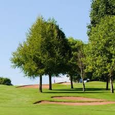 Image result for Churston Golf Club Ltd