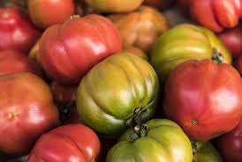 Afbeeldingsresultaat voor millionaire tomato