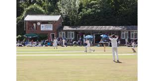 Image result for Leatherhead Swans Club
