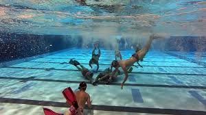 Image result for Norfolk Pikes Octopush Club