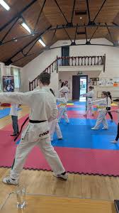 Image result for Utf Taekwondo Cymru Cardiff