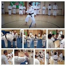 Image result for Bournemouth Shorinji Kempo Club