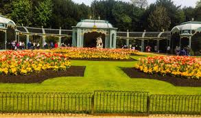 Image result for Waddesdon Gymnastics Club