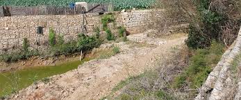 Attēlu rezultāti vaicājumam “Craterium aureonucleatum spores”