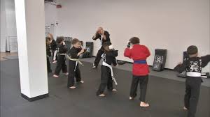 Image result for Action Karate