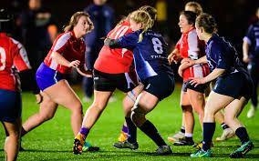 Image result for Ellingham and Ringwood Rfc