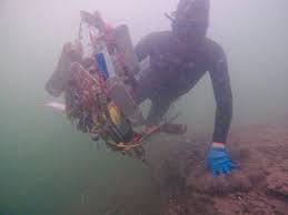 Image result for Headstream Divers