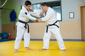 Image result for Halewood Inclusive Judo Club