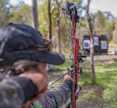Image result for Fleet Ibex Field Archery Club
