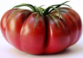 Afbeeldingsresultaat voor purple calabash tomato