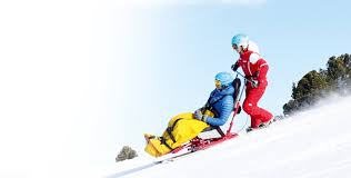 Image result for British Ski Club For The Disabled