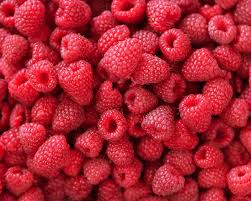 Attēlu rezultāti vaicājumam “Rubus plicatus fruit”