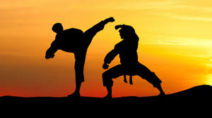 Image result for Brazilian-martial arts