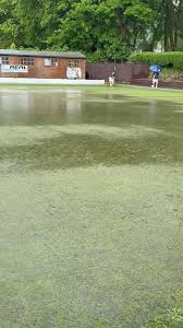 Image result for Ystradfechan Bowling Club