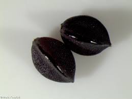 Attēlu rezultāti vaicājumam “Fallopia convolvulus fruit”