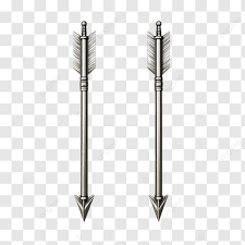 Image result for Silver Arrow Archery