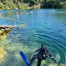 Image result for Kingston and Elmbridge Snorkellers
