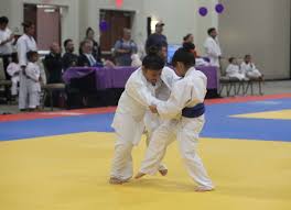 Image result for Halton Inclusive Judo Club