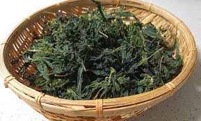 Image result for 깱깲깳깴깵깶깷깺깾깿꺀꺁꺂꺃꺆꺇꺈꺉꺊꺋꺍꺎꺏꺐