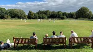 Image result for Lingfield Cricket Club