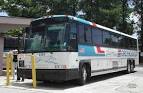 European Travelers and Greyhound Buses
