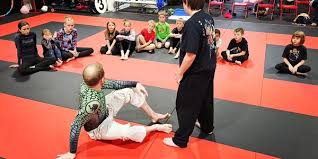Image result for Tsunami Karate Club