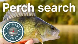 Image result for Guildford Angling Society