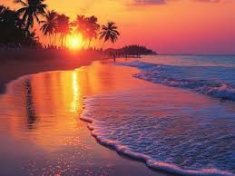 Image result for goa beaches