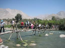 Image result for Billingham Marsh House Harriers