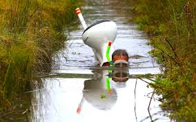 Image result for Bog Snorkelling Championships