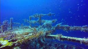 Image result for Maverick Divers