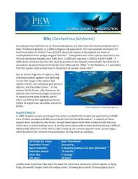 Image result for Carcharhinus falciformis