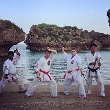Image result for Inyo Karate Do Ninbukan