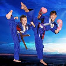 Image result for West Jordan Martial Arts Dojo