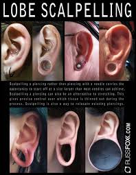 Image result for ear mod