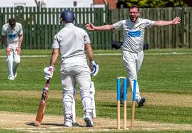 Image result for Wolviston Cricket Club