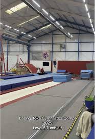 Image result for Basingstoke Gymnastics Club