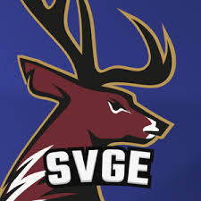 Image result for Southampton Stags